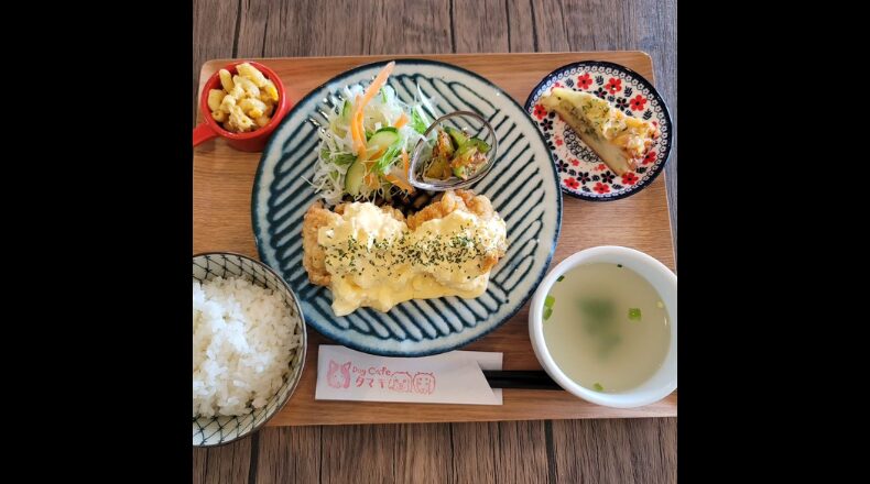 Dogcafeタマキのランチ