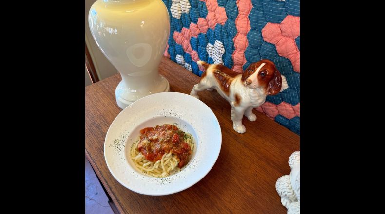 Living with DOGSのランチ