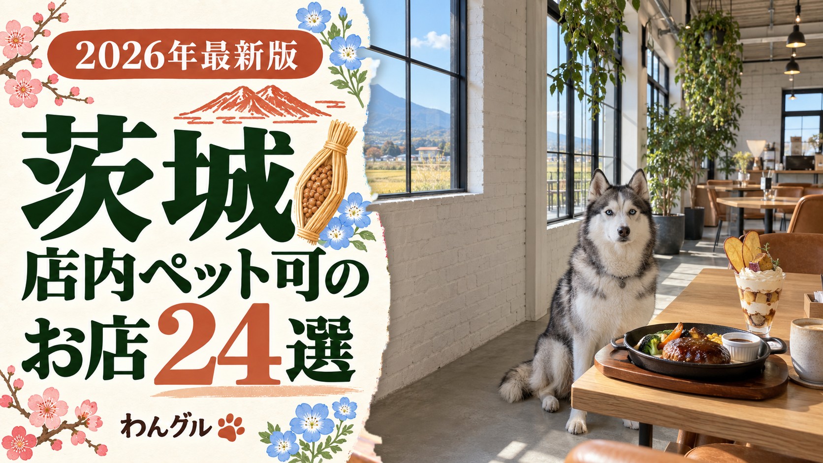 茨城で店内ペット可のお店24選