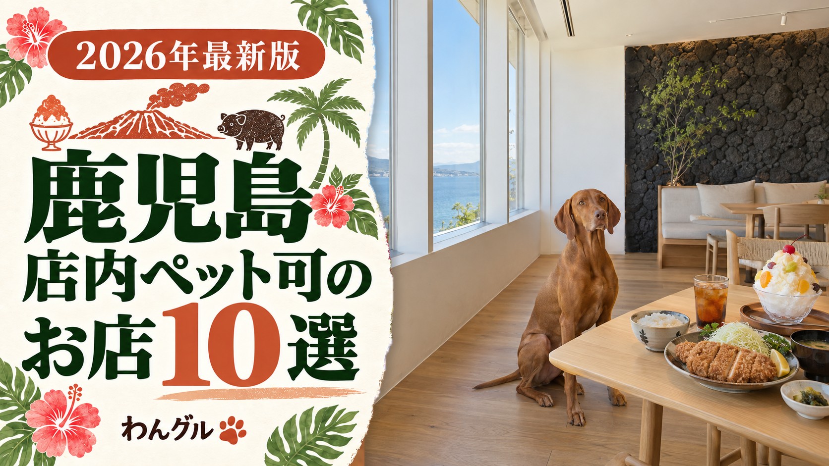 鹿児島で店内ペット可のお店10選