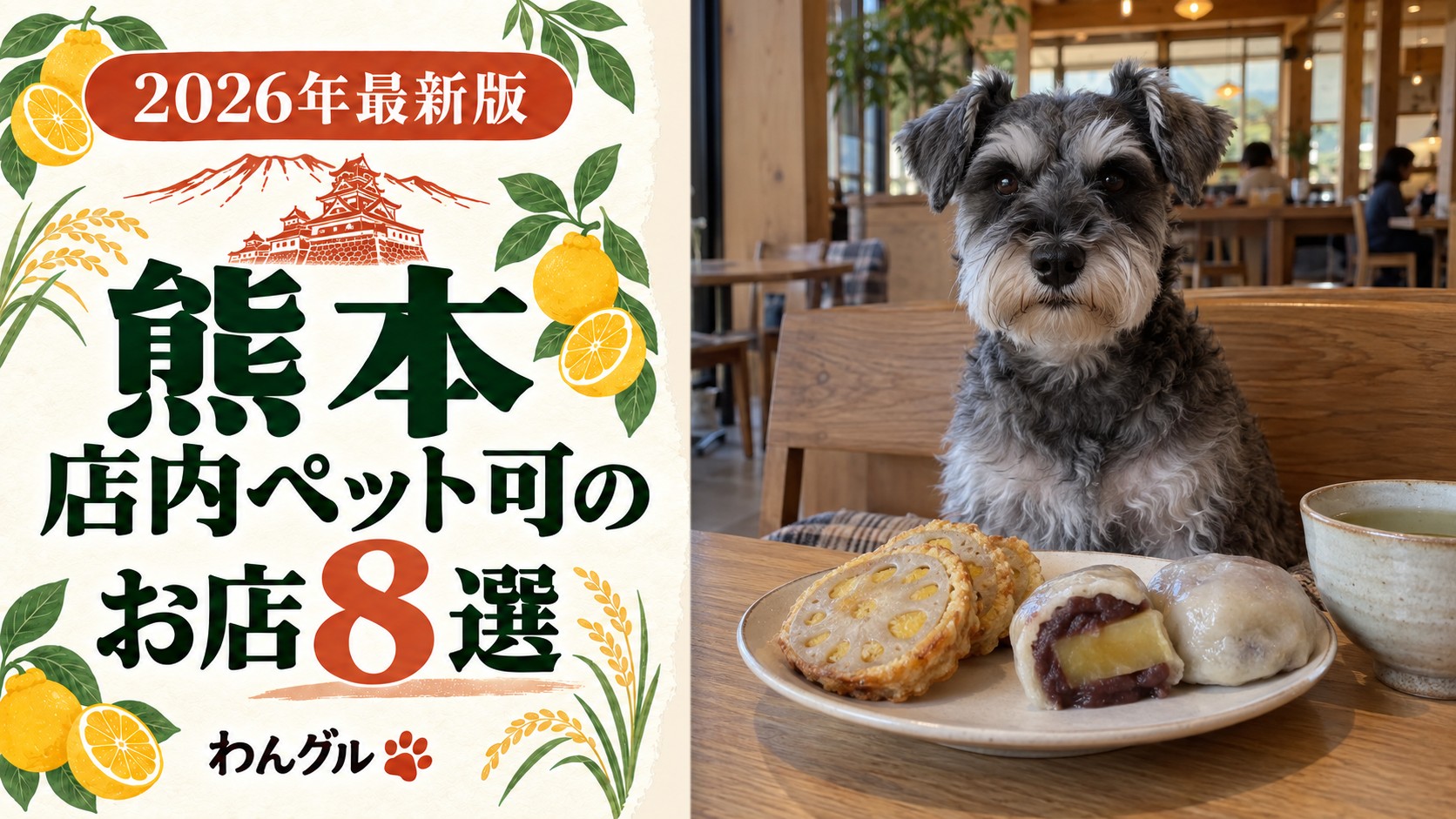 熊本で店内ペット可のお店8選